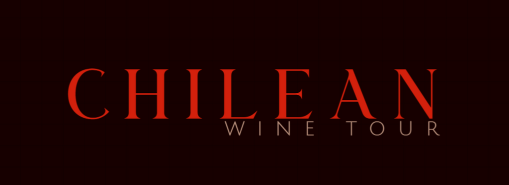 chileanwinetour.cl